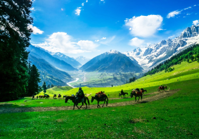 Srinagar 7 Days Tour Package